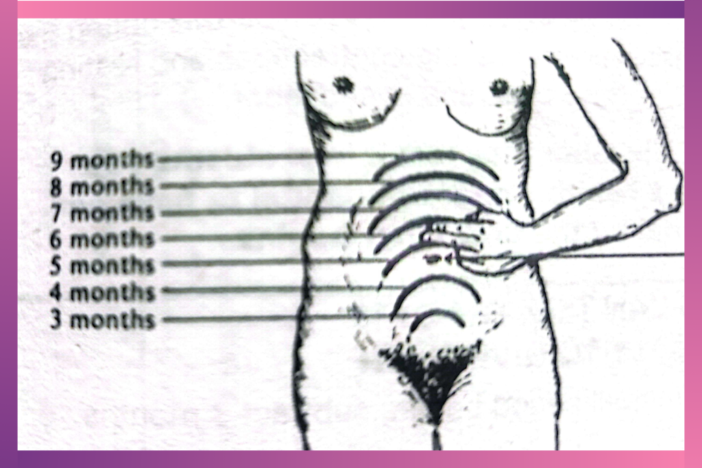 Image showing bigger belly than usual and how to measure belly growth as a sign of twins pregnancy
