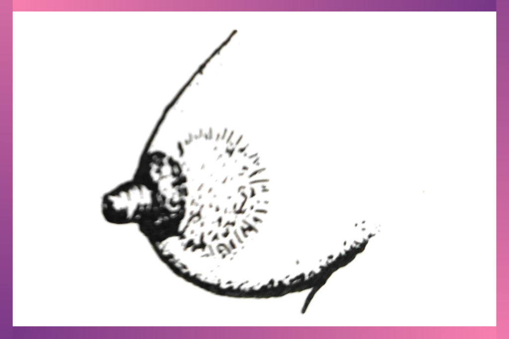 An image showing one of the 4 weeks pregnant ultrasound