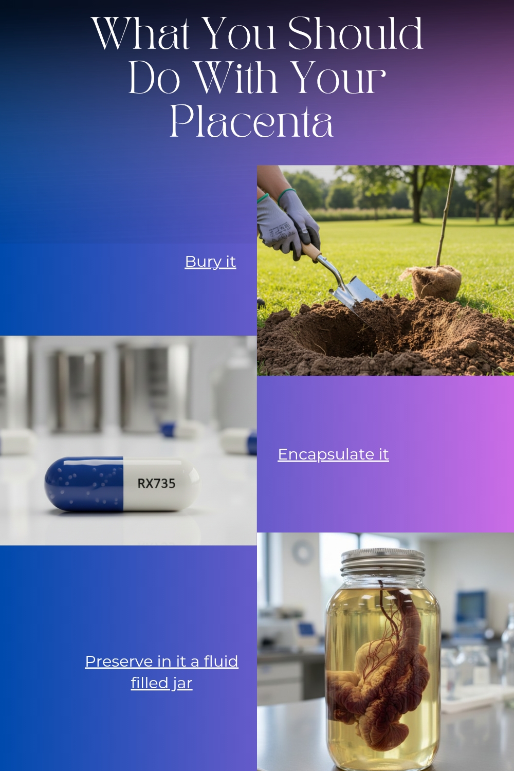 Pin showing methods to the question, what should I do with my placenta